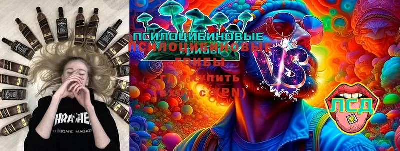 Псилоцибиновые грибы Psilocybine cubensis  наркотики  Ногинск 